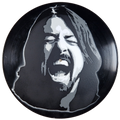 Dave Grohl - Scream- Vinyl Artwork