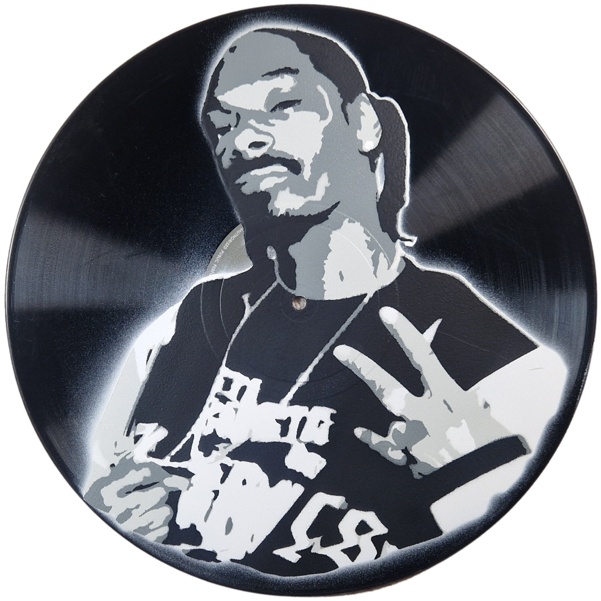 Snoop Dog - Vinyl Record Art