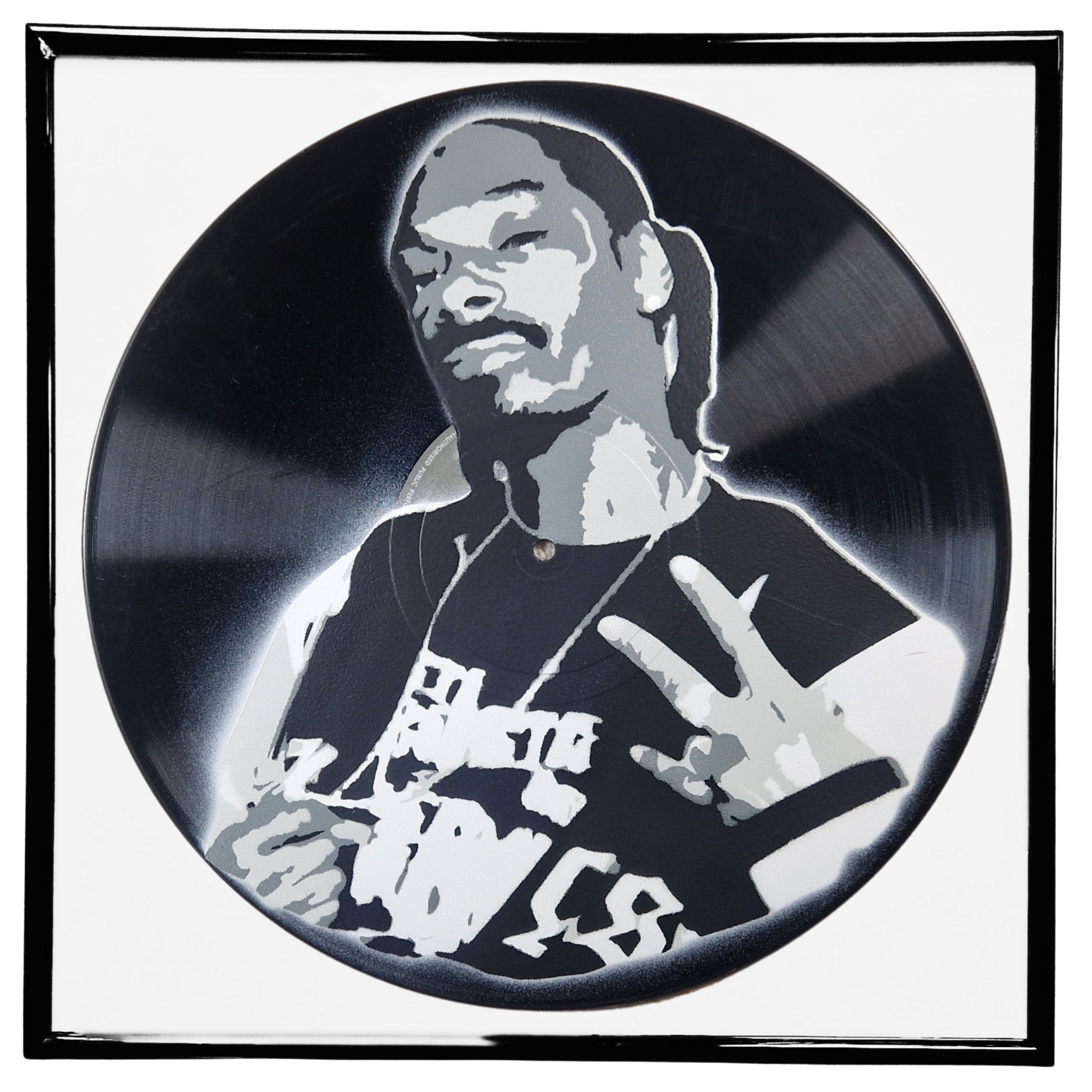 Snoop Dog - Vinyl Record Art