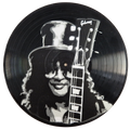 Slash - Guns and Roses - Vinyl Artwork